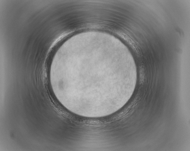 X0000115161070200912081403