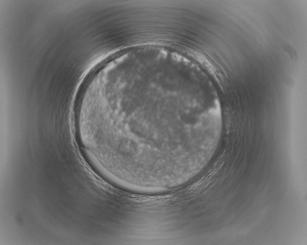 X0000115161072200912081403