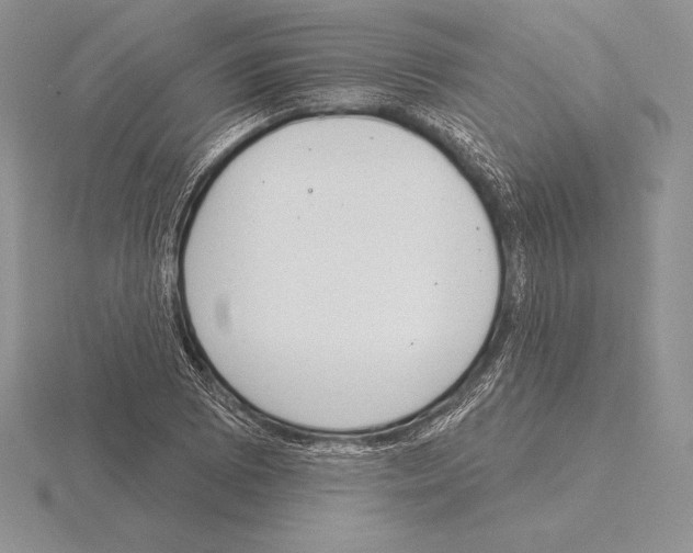 X0000115161073200912081403