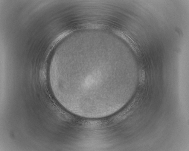 X0000115161074200912081403