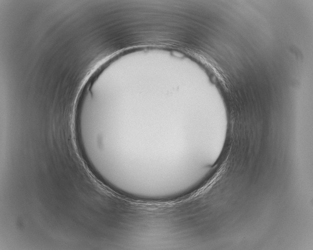 X0000115161077200912081403