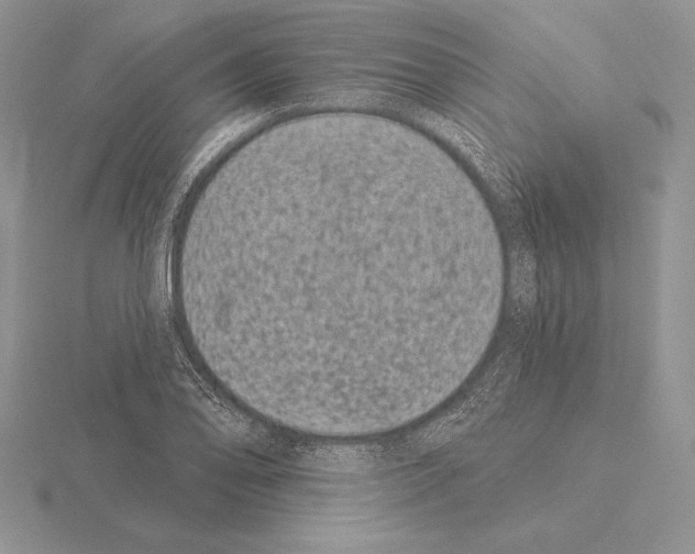 X0000115161078200912081403