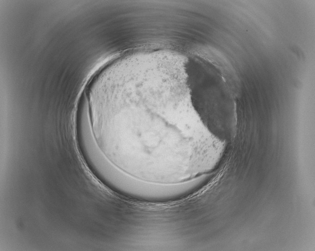 X0000115161079200912081403