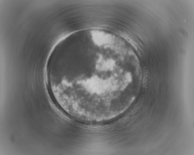 X0000115161080200912081403