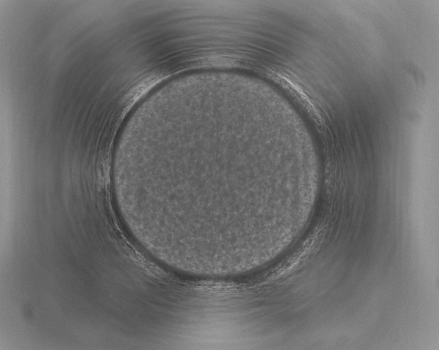 X0000115161081200912081403