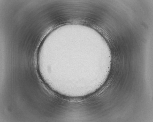 X0000115161083200912081403