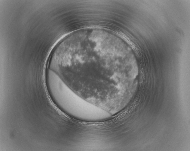 X0000115161084200912081403