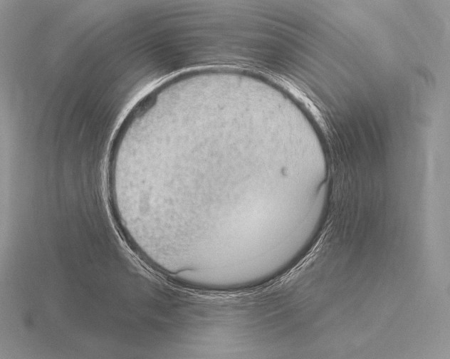 X0000115161085200912081403