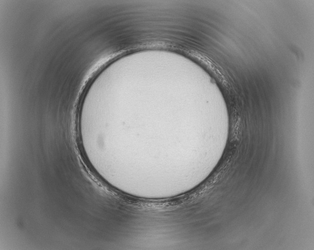 X0000115161086200912081403