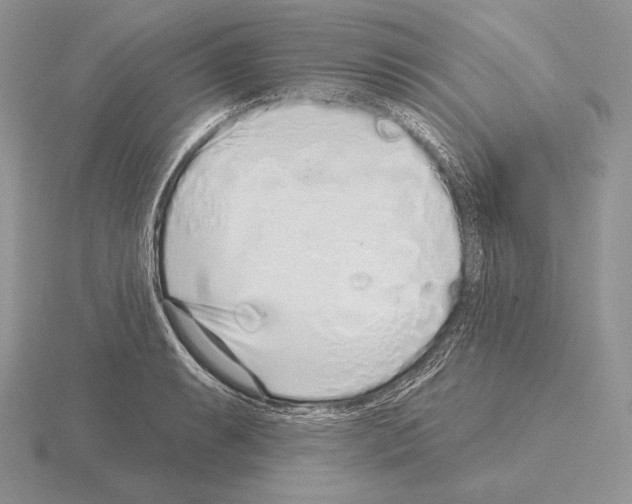 X0000115161087200912081403