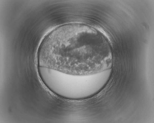 X0000115161088200912081403