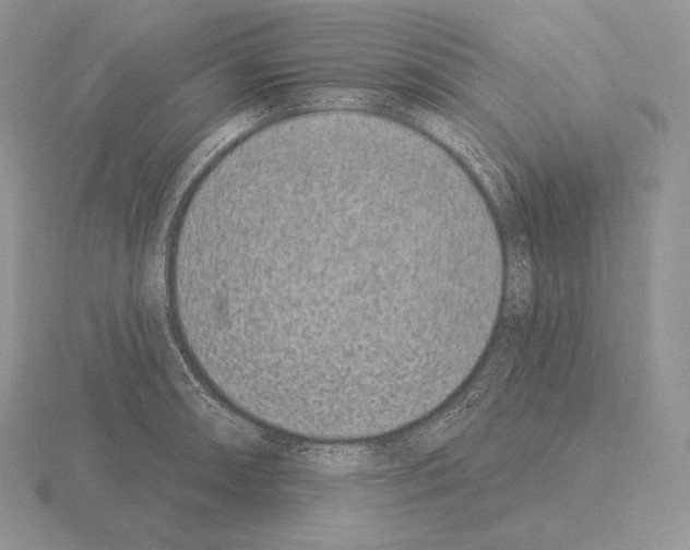 X0000115161090200912081403