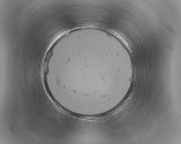 X0000115161093200912081403