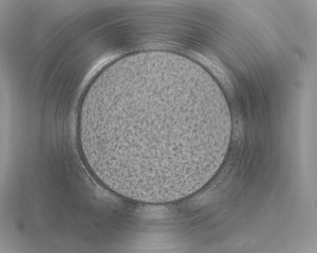 X0000115161094200912081403