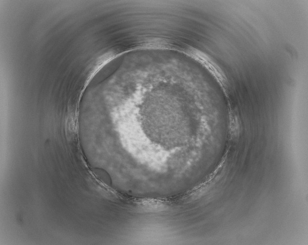 X0000115161097200912081403