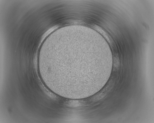 X0000115161098200912081403