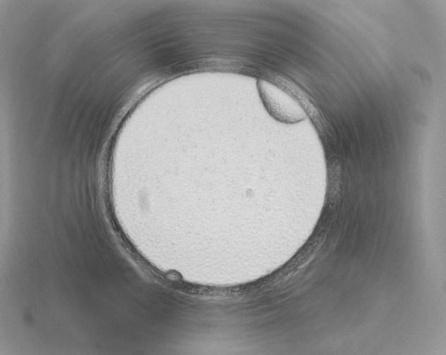 X0000115161099200912081403