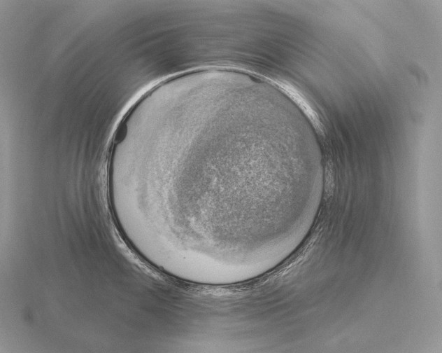 X0000115161100200912081403