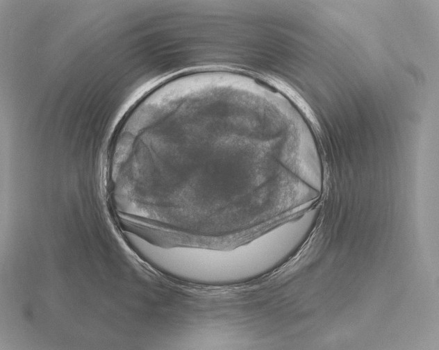 X0000115161101200912081403