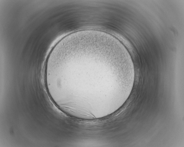 X0000115161102200912081403