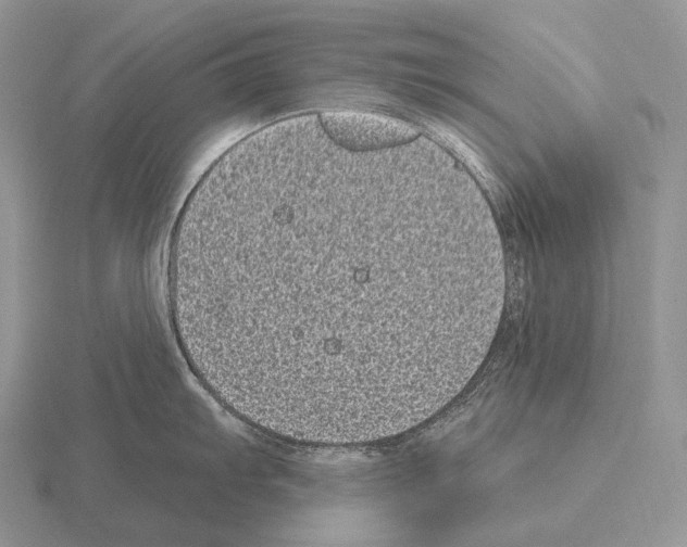 X0000115161103200912081403