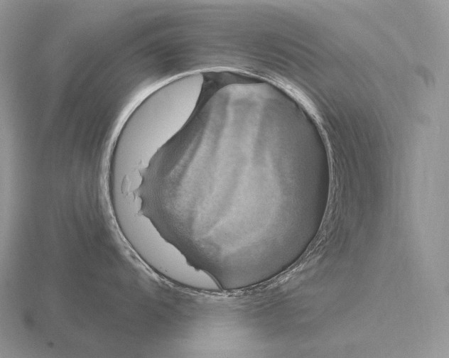 X0000115161104200912081403