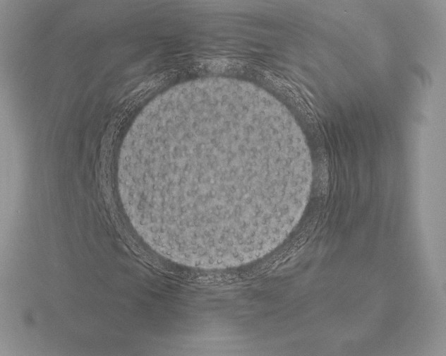 X0000115161105200912081402