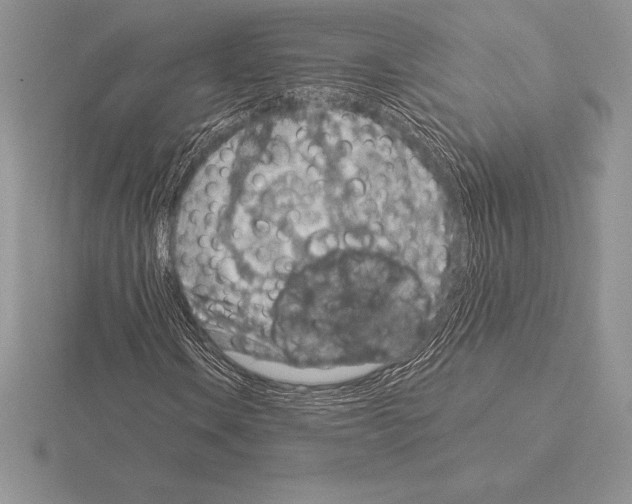 X0000115161106200912081402