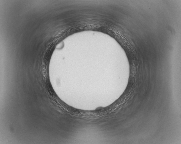 X0000115161109200912081402