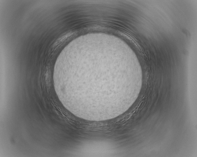 X0000115161111200912081402