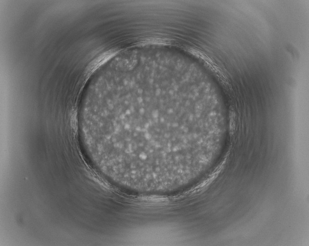 X0000115161113200912081402