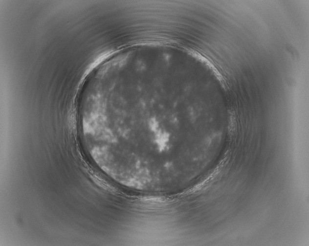 X0000115161114200912081402