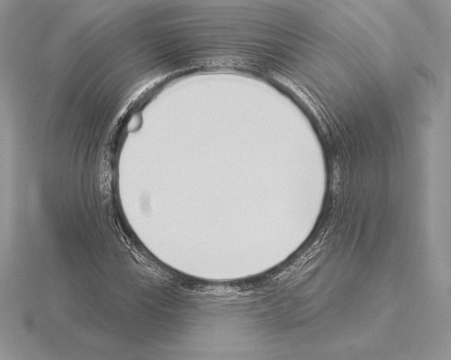 X0000115161115200912081402