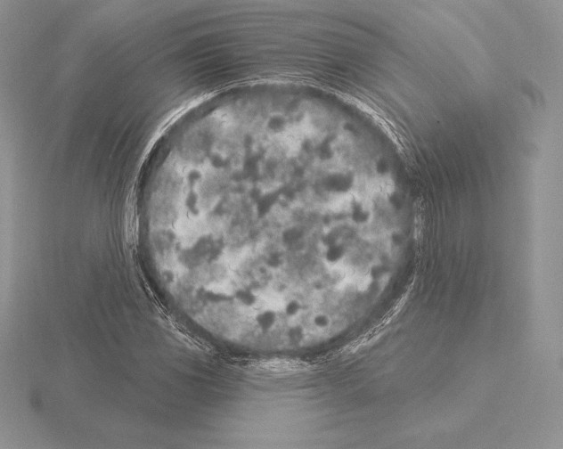 X0000115161117200912081402