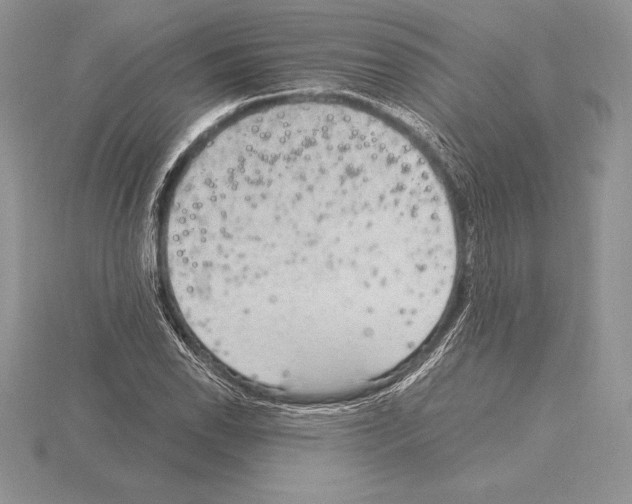 X0000115161118200912081402