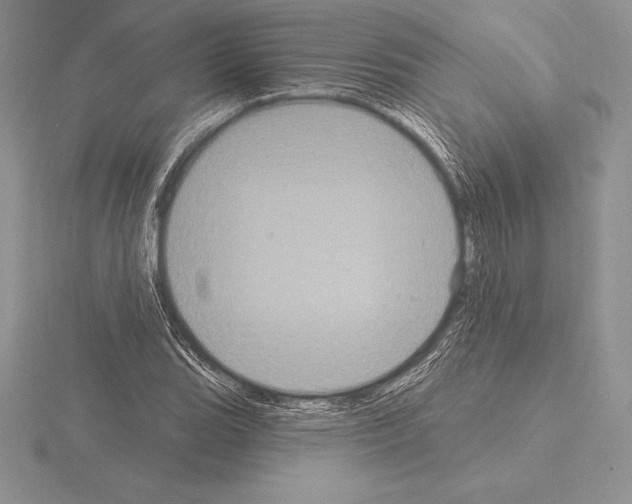 X0000115161119200912081402