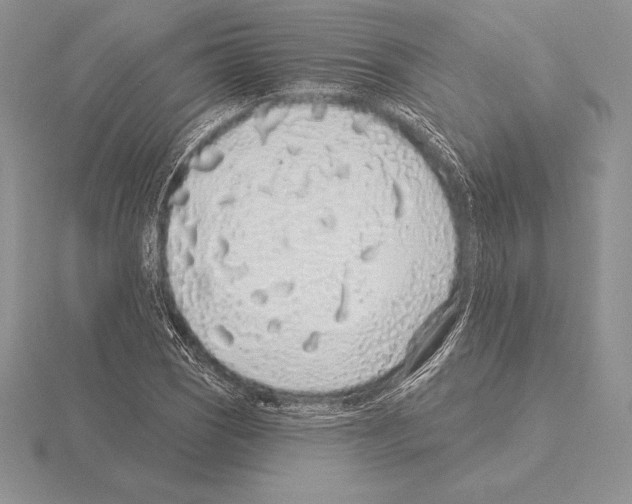 X0000115161121200912081402