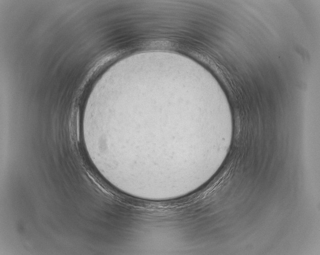 X0000115161123200912081402