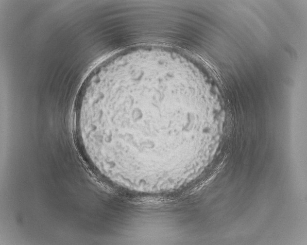 X0000115161125200912081402