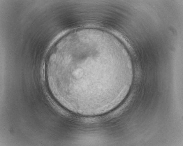 X0000115161126200912081402