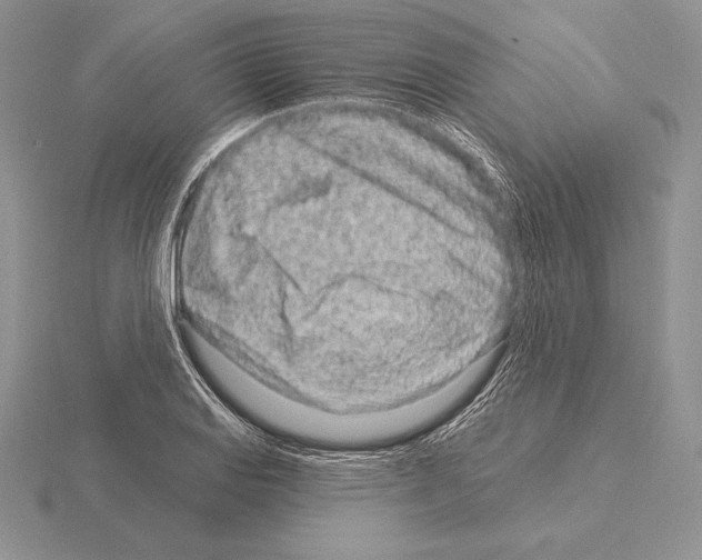 X0000115161127200912081402