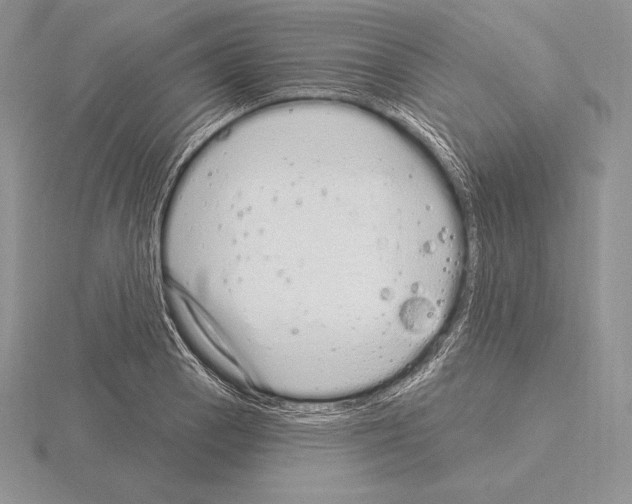 X0000115161129200912081402