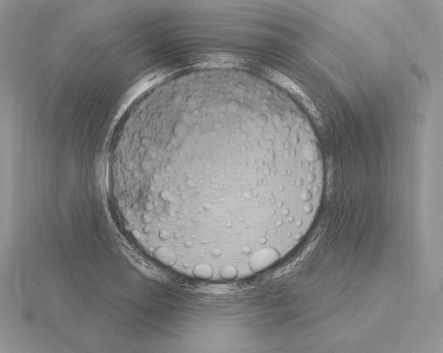 X0000115161130200912081402