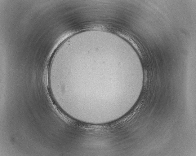 X0000115161131200912081402