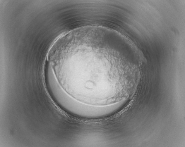 X0000115161133200912081402