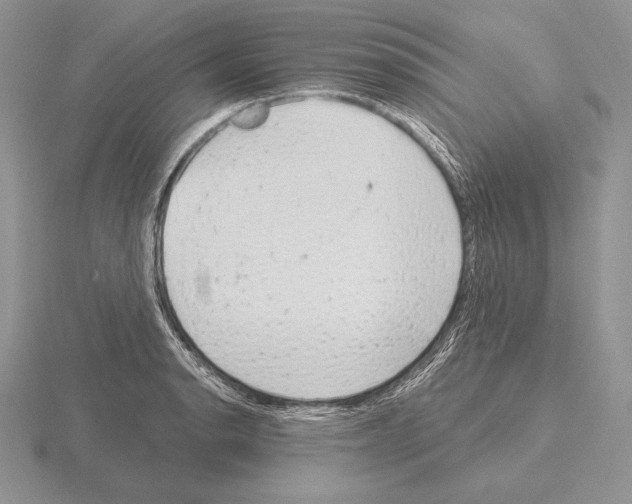 X0000115161134200912081402