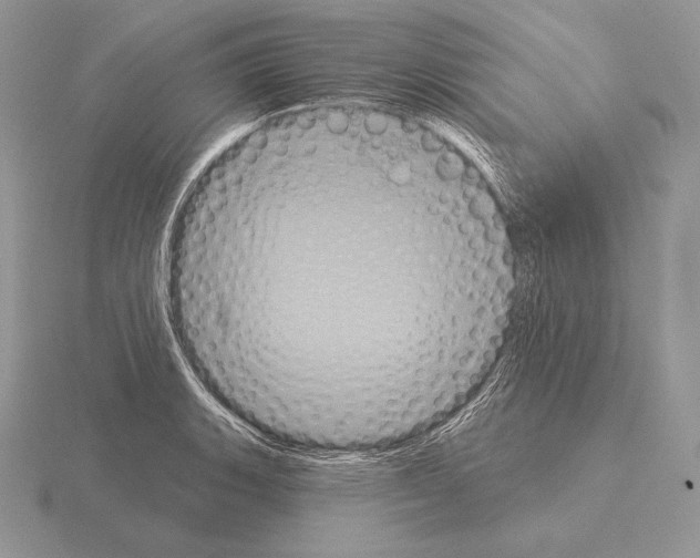 X0000115161135200912081402