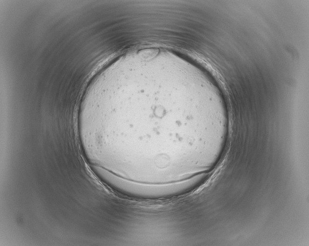 X0000115161137200912081402