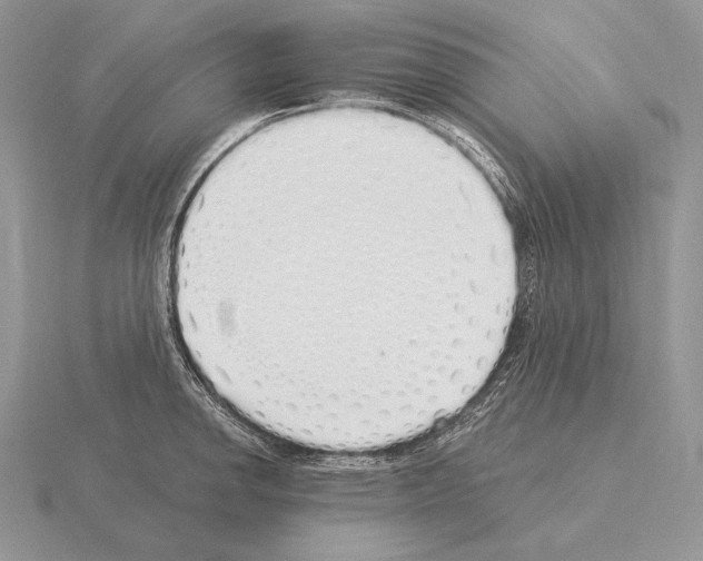 X0000115161142200912081402