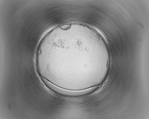 X0000115161149200912081402